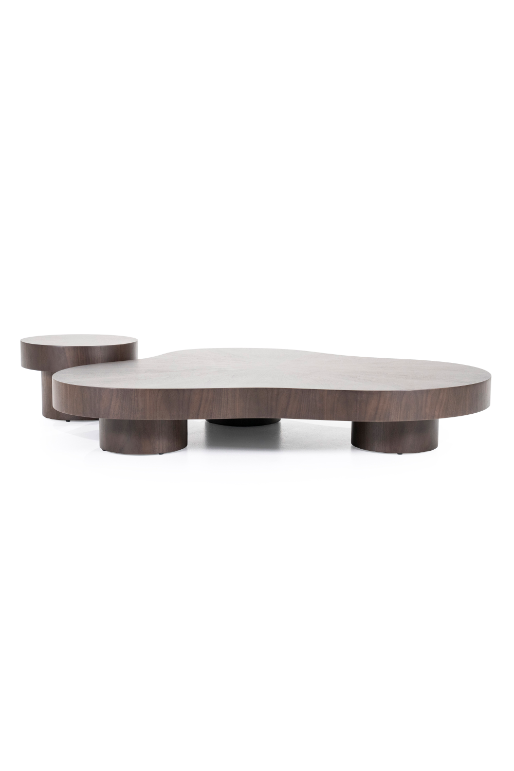 Table basse en noyer biologique